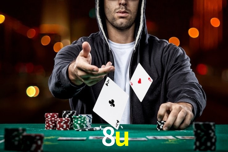 8u